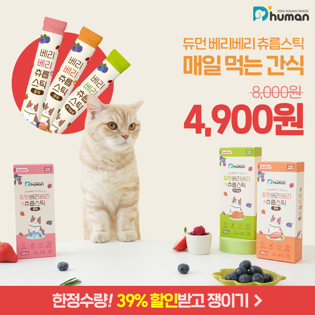 듀먼 퍼포먼스